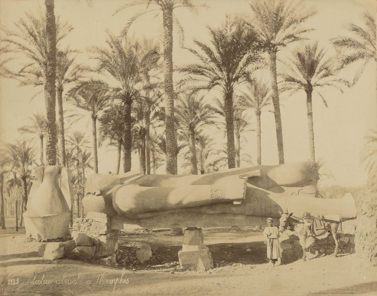 Kolossaal klassiek beeld in Memphis (Senwosret III) door Félix Bonfils