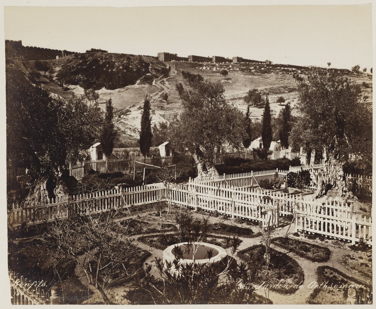 Tuin van Getsemane nr. 303 door Félix Bonfils
