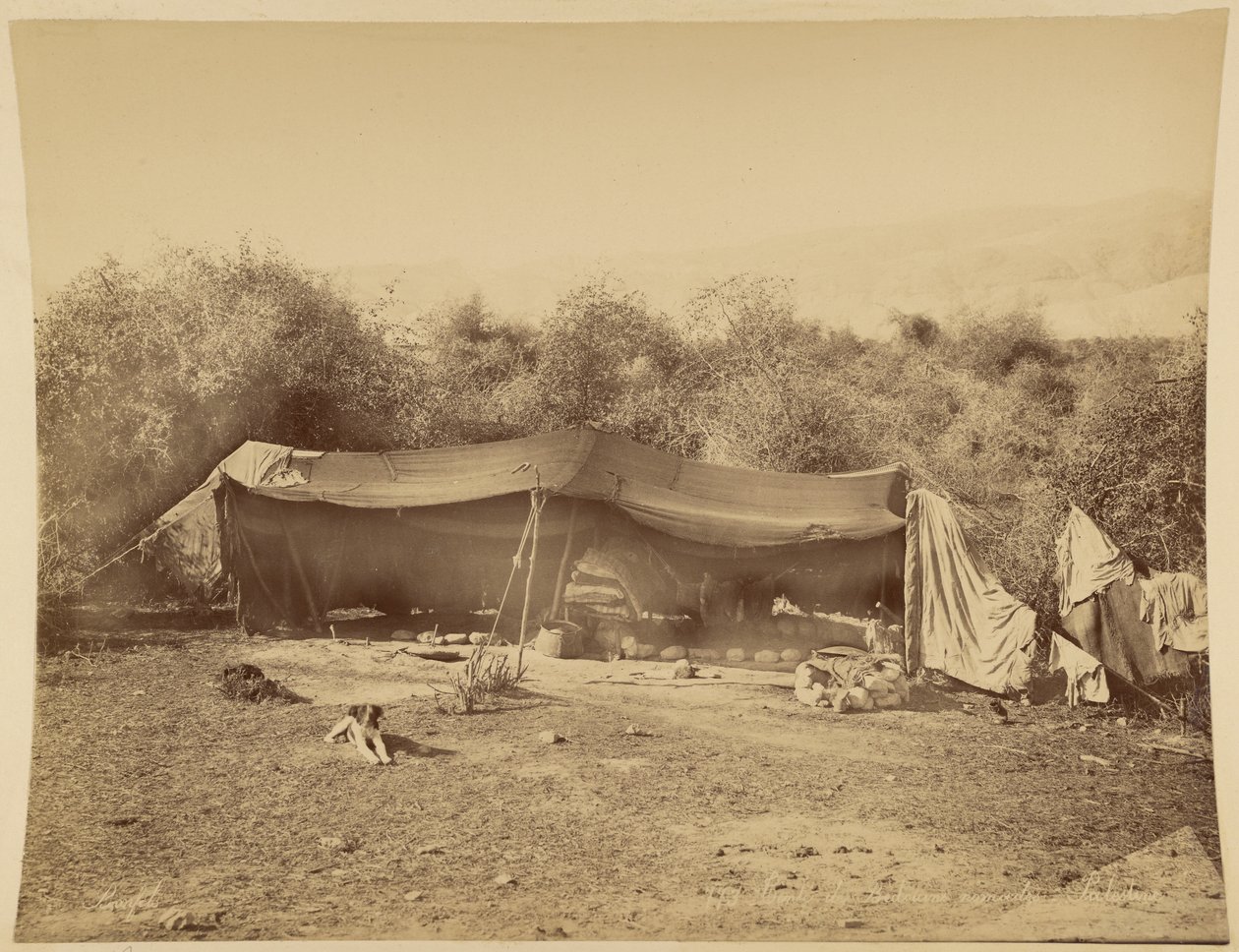 Tent van nomadische bedoeïenen, Palestina door Félix Bonfils