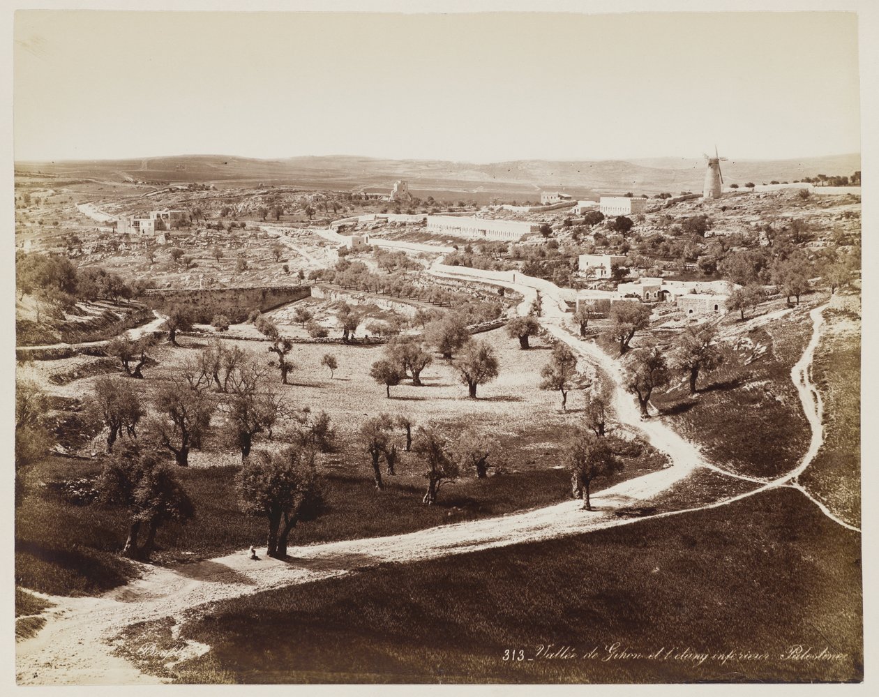 Valle De ... Palestina #313 door Félix Bonfils