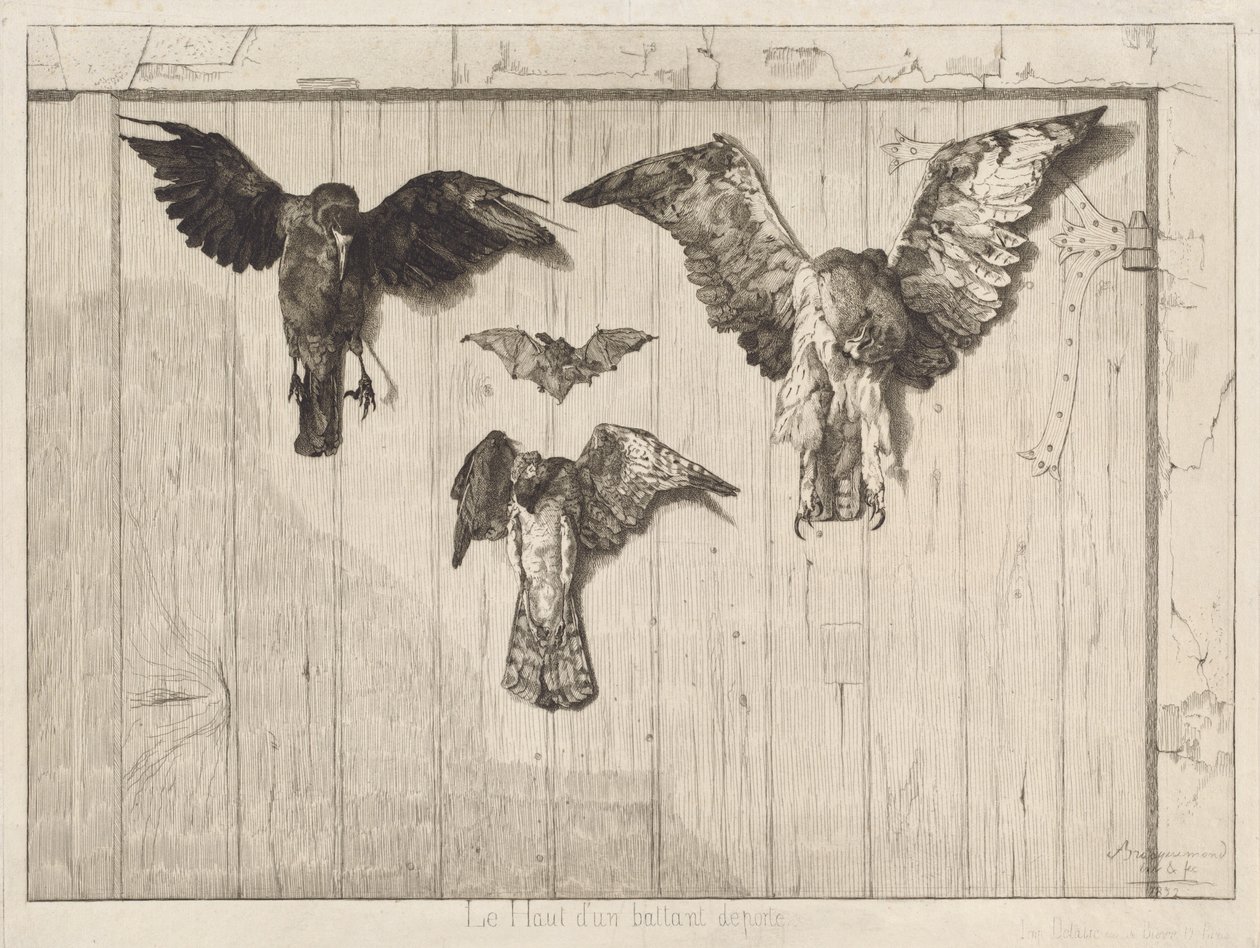 Vogels genageld aan een schuurdeur (Le haut d