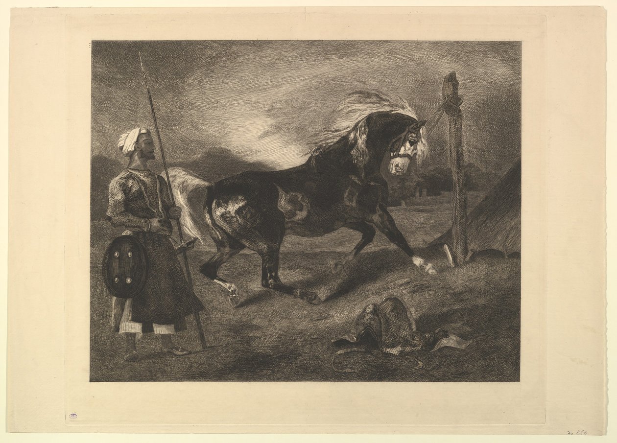 Arabisch paard aan de paal, naar Delacroix door Felix Bracquemond