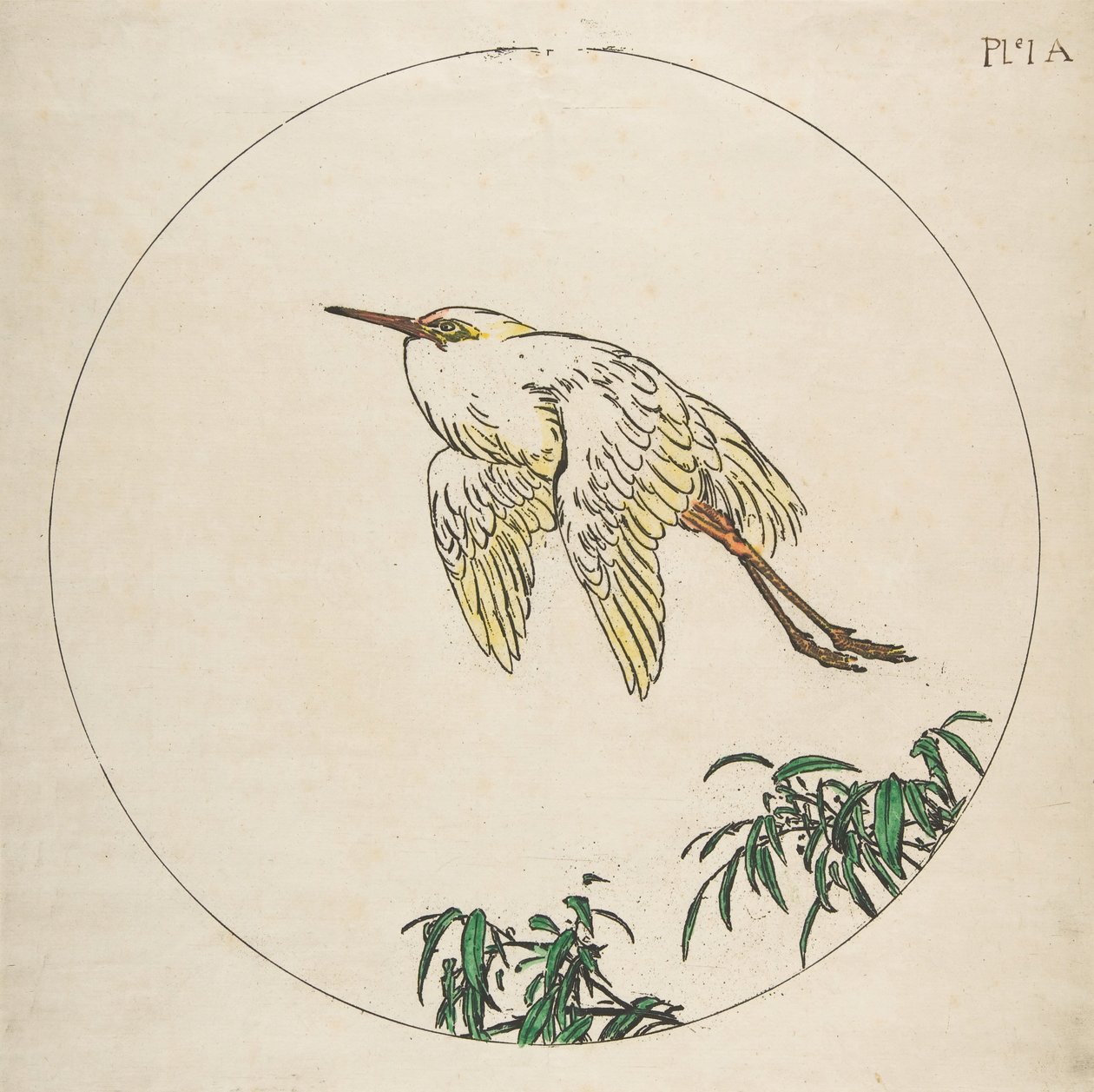 Decoratie voor een bord: Een reiger vliegt boven bamboetakken, 1850-1914 door Felix Bracquemond