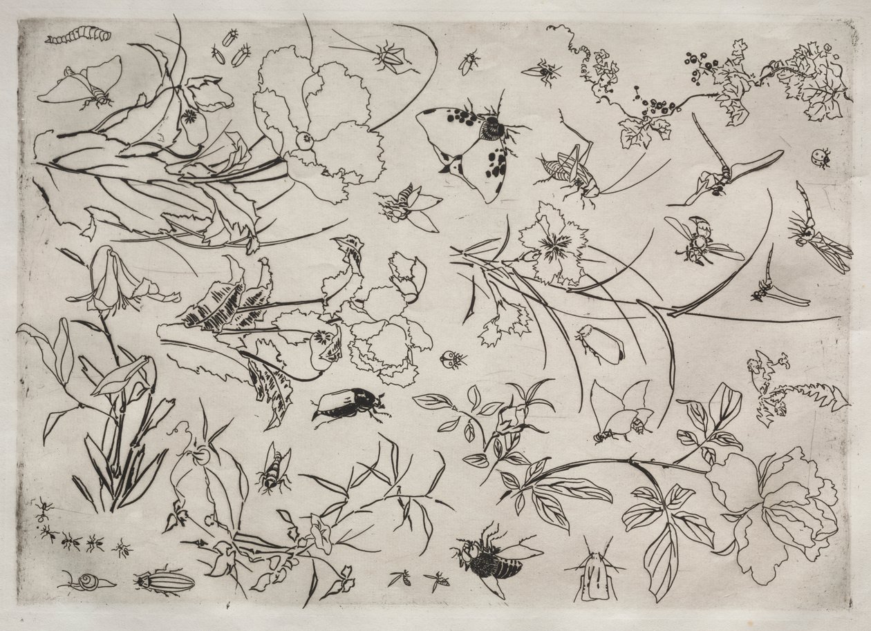Dinerservies (Rousseau servies): Bloemen en insecten (nr. 15) door Felix Bracquemond