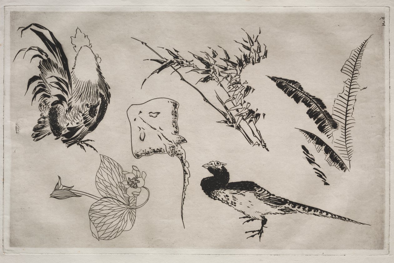 Dinerservies (Rousseau servies): Hanen, rog, planten, enz. (nr. 9) door Felix Bracquemond