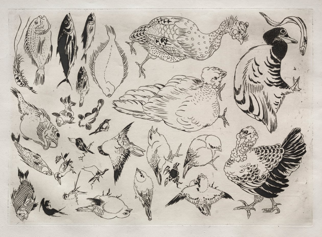 Servies Rousseau: Eenden, vissen, enz. nr. 12, 1866 door Felix Bracquemond