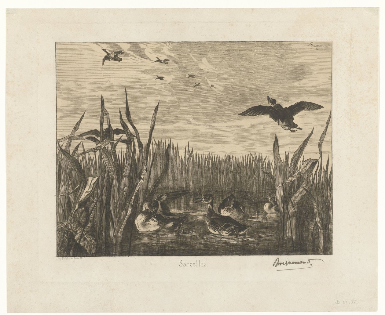 Landschap met talingen in het water tussen riet door Felix Bracquemond