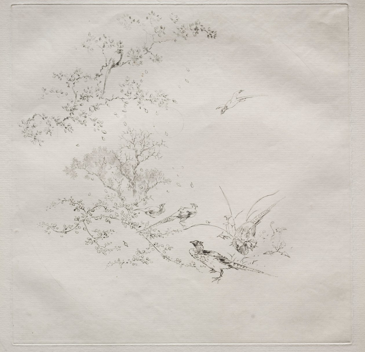 Parijse Service Haviland service: Mist nr. 1, 1875 door Felix Bracquemond
