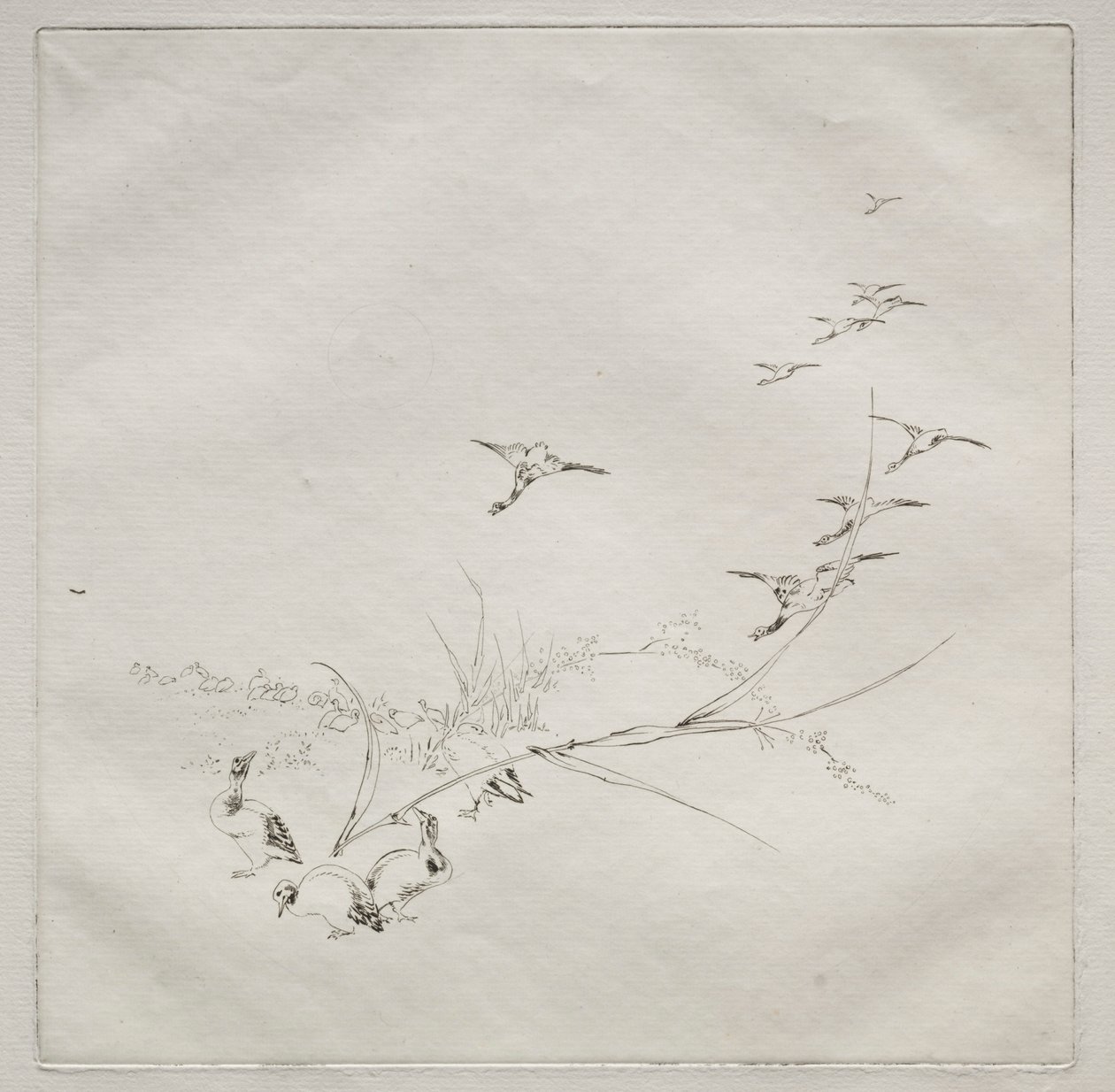 Parijse service Haviland service: Recht in de zon nr. 9, 1875 door Felix Bracquemond