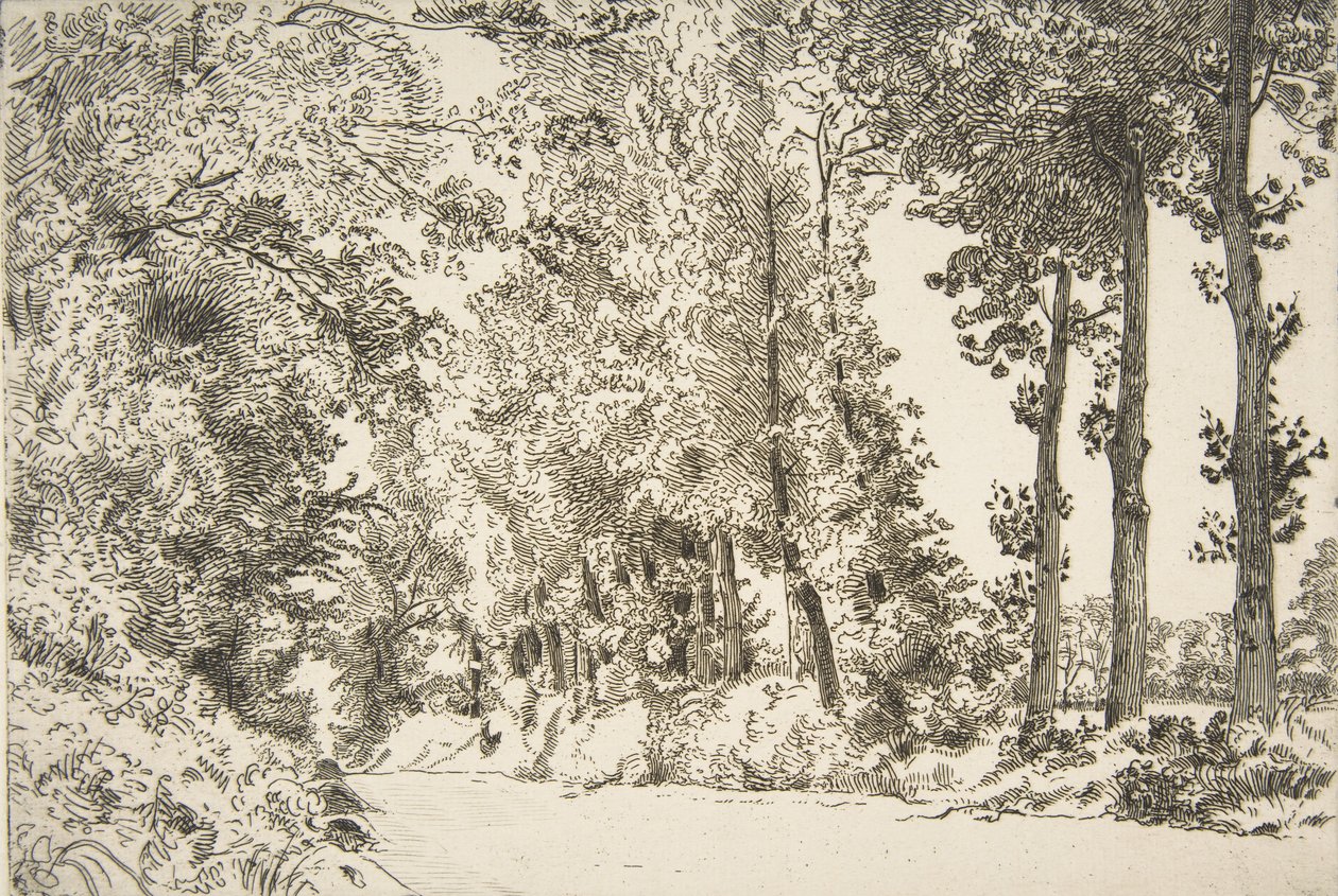 Rue des Bruyères, à Sèvres door Felix Bracquemond