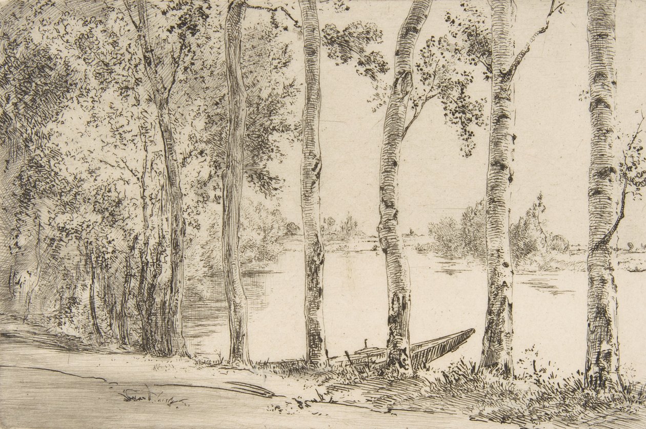 Trembles aan de Oever van de Seine, ca. 1884 door Felix Bracquemond