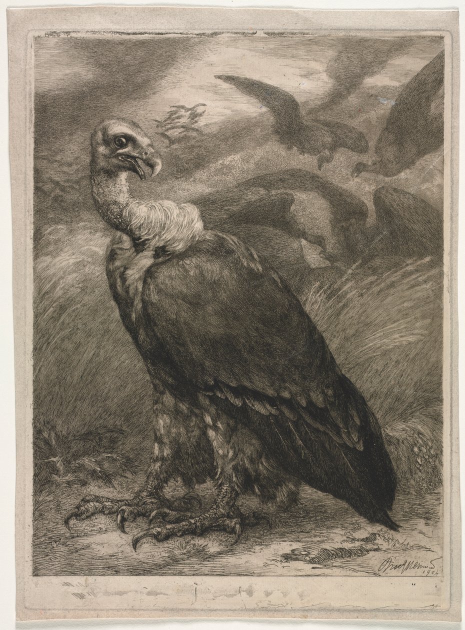 Gier door Felix Bracquemond