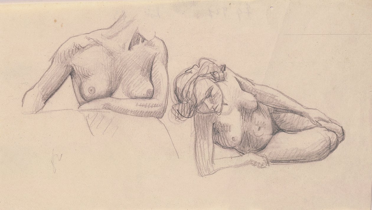 Twee studies van vrouwelijke naakten door Felix Edouard Vallotton