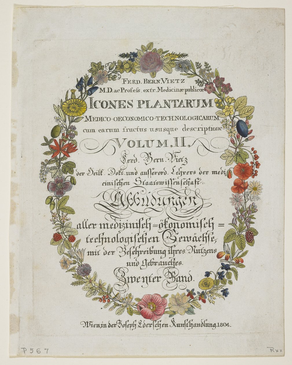 Frontispice en Titelpagina, Vol. II, uit Icones Plantarum Medico-Oeconomico-Technologicarum cum Earum Fructus ususque Descriptione, 1804 door Ferdinand Bernhard Vietz