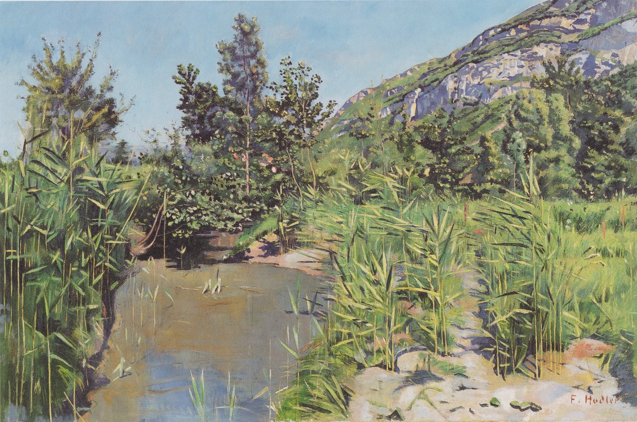 Vijverlandschap bij Veyrier door Ferdinand Hodler