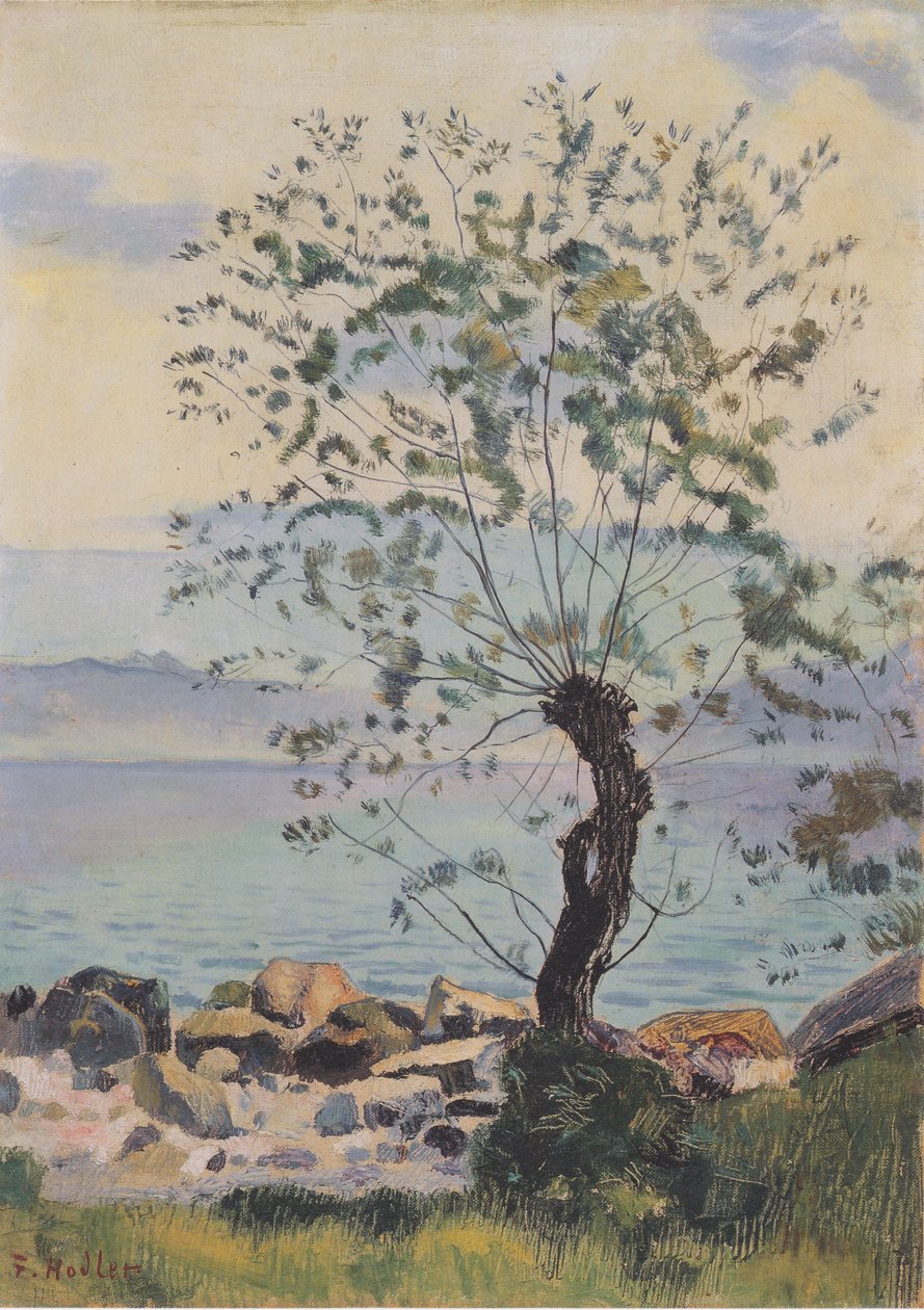 Weideboom aan het meer door Ferdinand Hodler