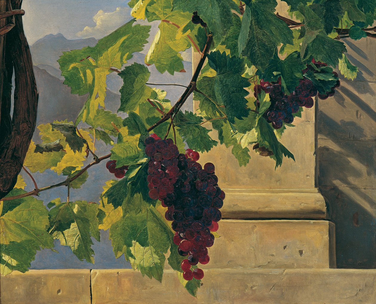 Hangende druiven door Ferdinand Georg Waldmüller