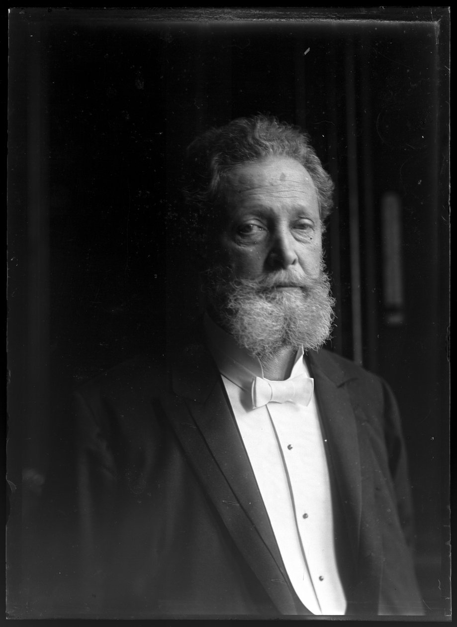 Afbeelding van Charles Lueger (1897-1910) door Ferdinand Schmutzer