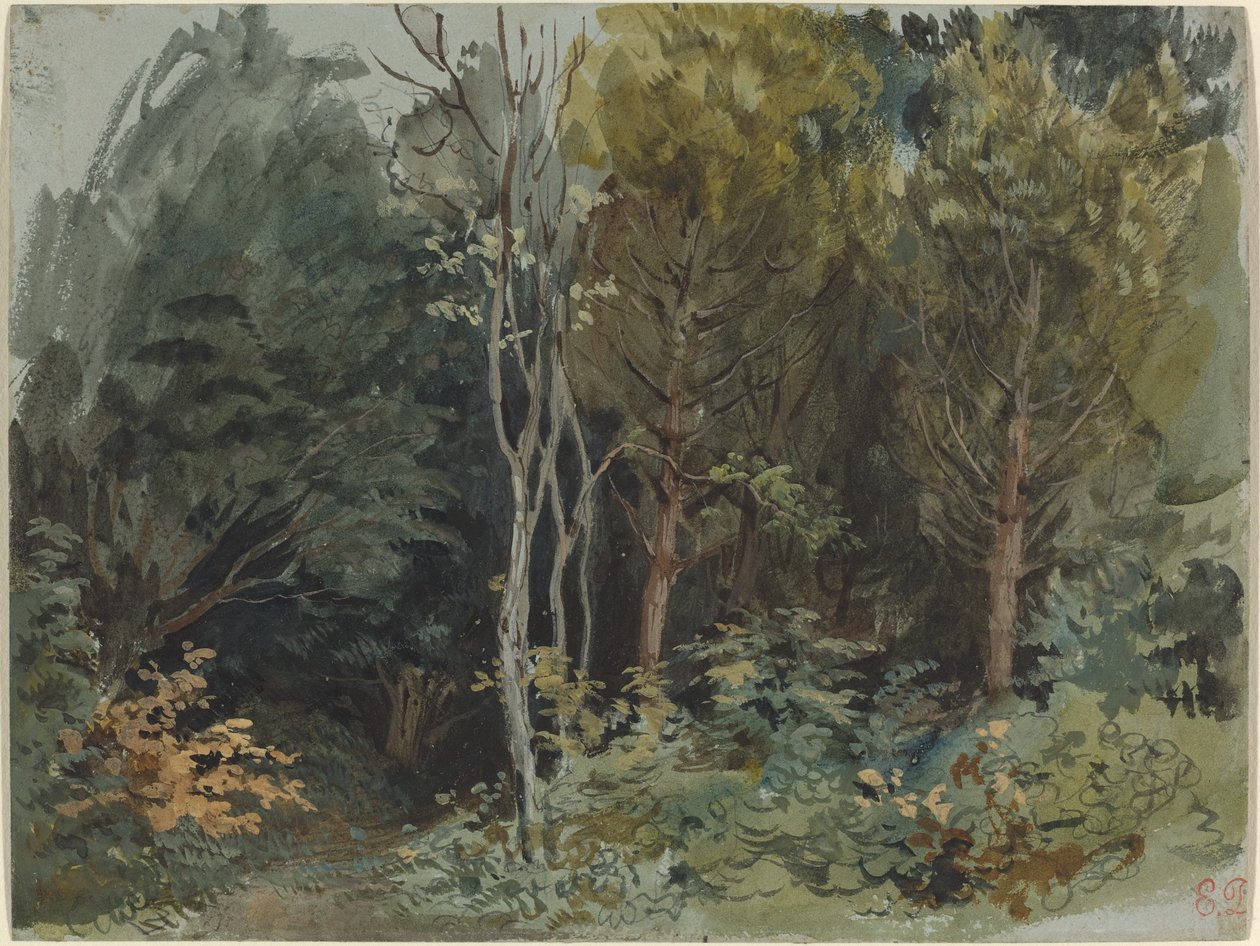 De rand van een bos bij Nohant door Ferdinand Victor Eugene Delacroix