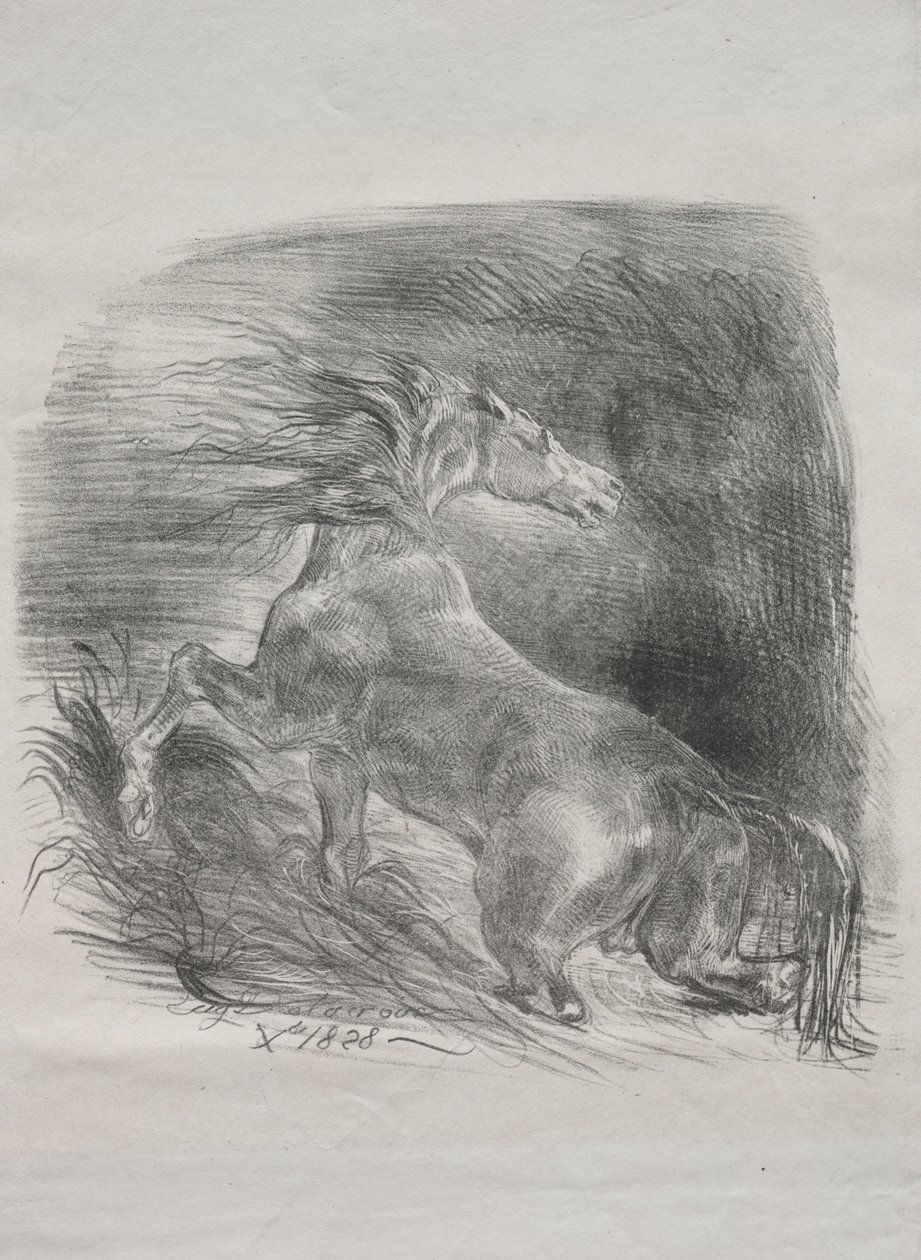 Het wilde paard, of geschrokken paard dat het water verlaat, 1828 door Ferdinand Victor Eugene Delacroix