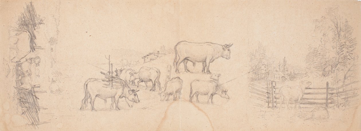 Diverse schetsen van koeien en stieren door Ferdinand von Wright