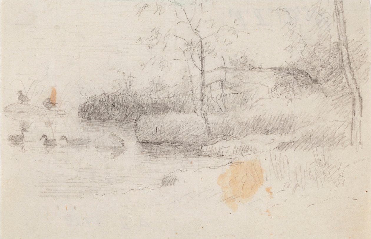 Landschap met eenden door Ferdinand von Wright