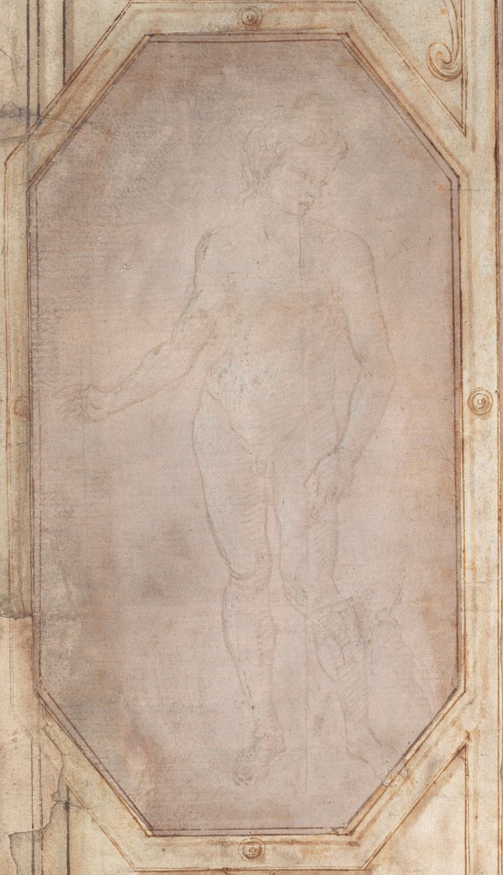Staande Naakte Jongeling door Filippino Lippi