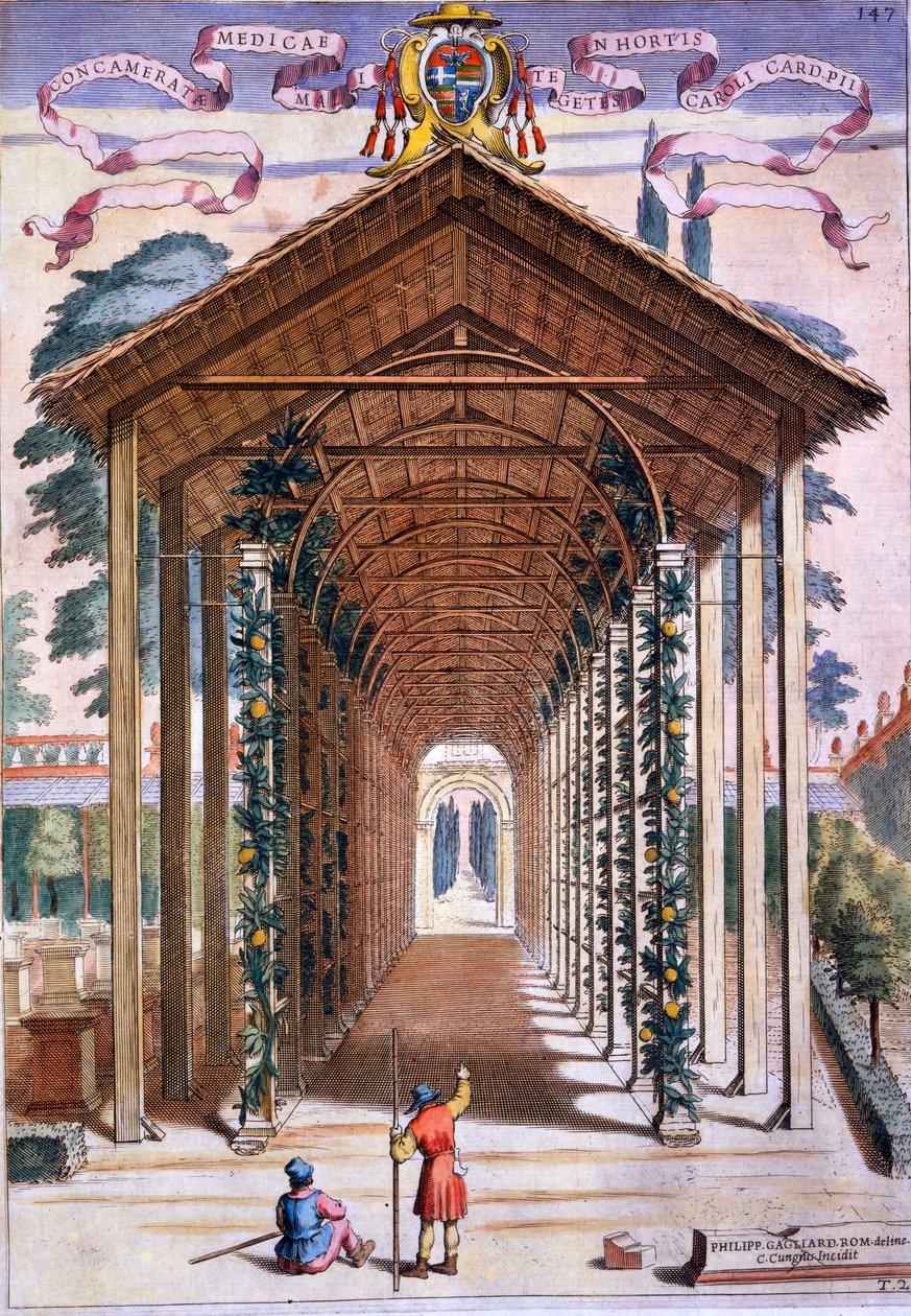 Een met latwerk bedekte wandelgang, uit 