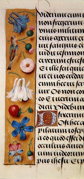 Ms. 1058-1975, f.22v: detail van een bloemenrand uit een Getijdenboek door Flemish School