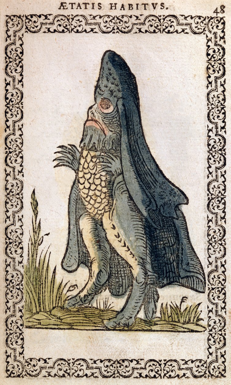 De Zeebisschop of zeemonster, illustratie uit Omnium fere gentium nostraeque aetatis Nationum Habitus et Effigies door Jean Sluperji, Antwerpen, 1572 door Flemish School