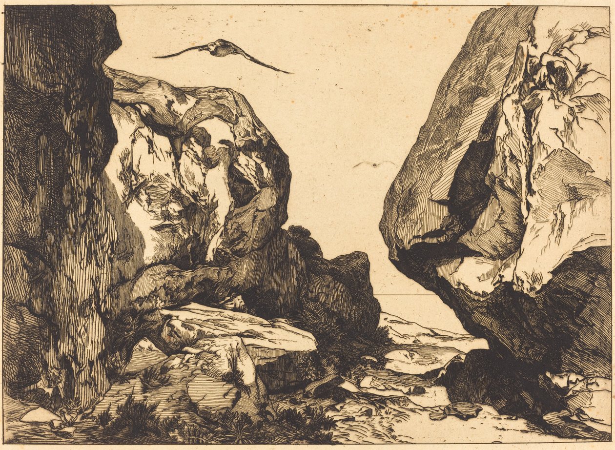 Kloof in de Rotsen (detail) door Félix Bracquemond after Jules Laurens