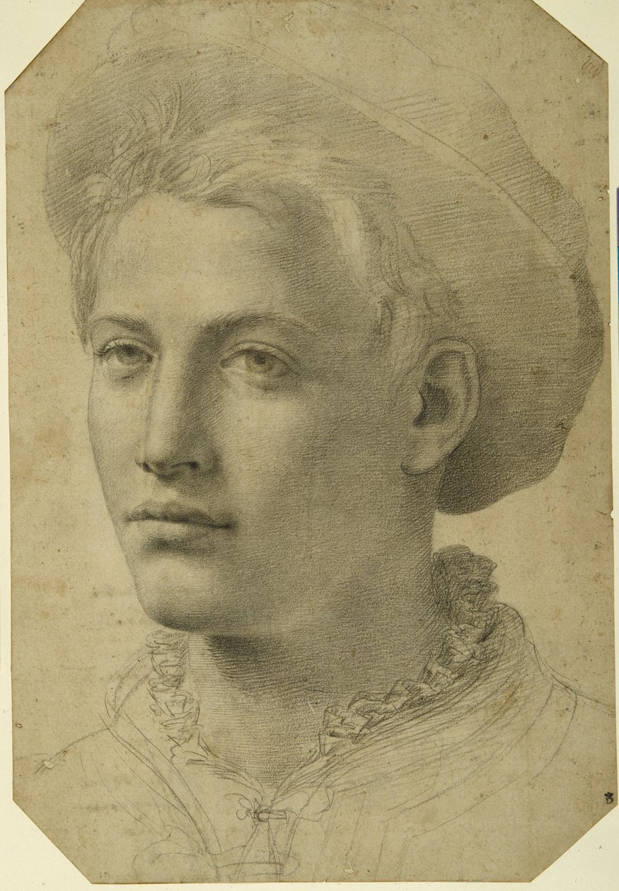 Portretkop van een jongeman met een pet, ca. 1530-40 door Florentine School