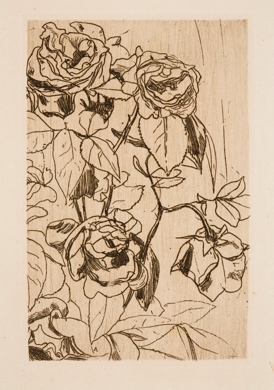 Studie van Rozen door Floris Verster