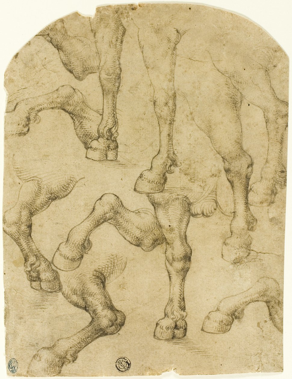 Schetsen van de benen van paarden (of dromedarissen) (recto); kolommen (verso) door Follower of Leonardo da Vinci