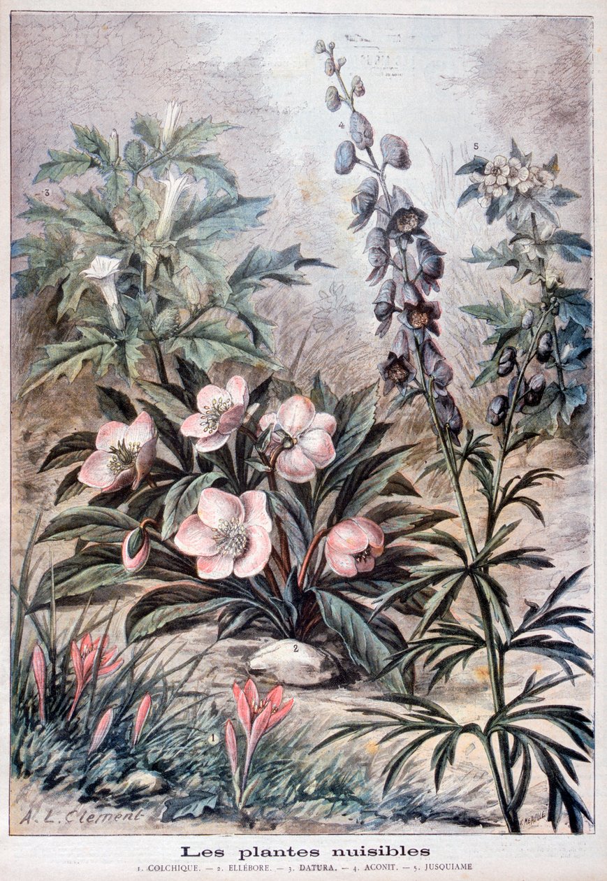 Schadelijke planten door Fortuné Méaulle