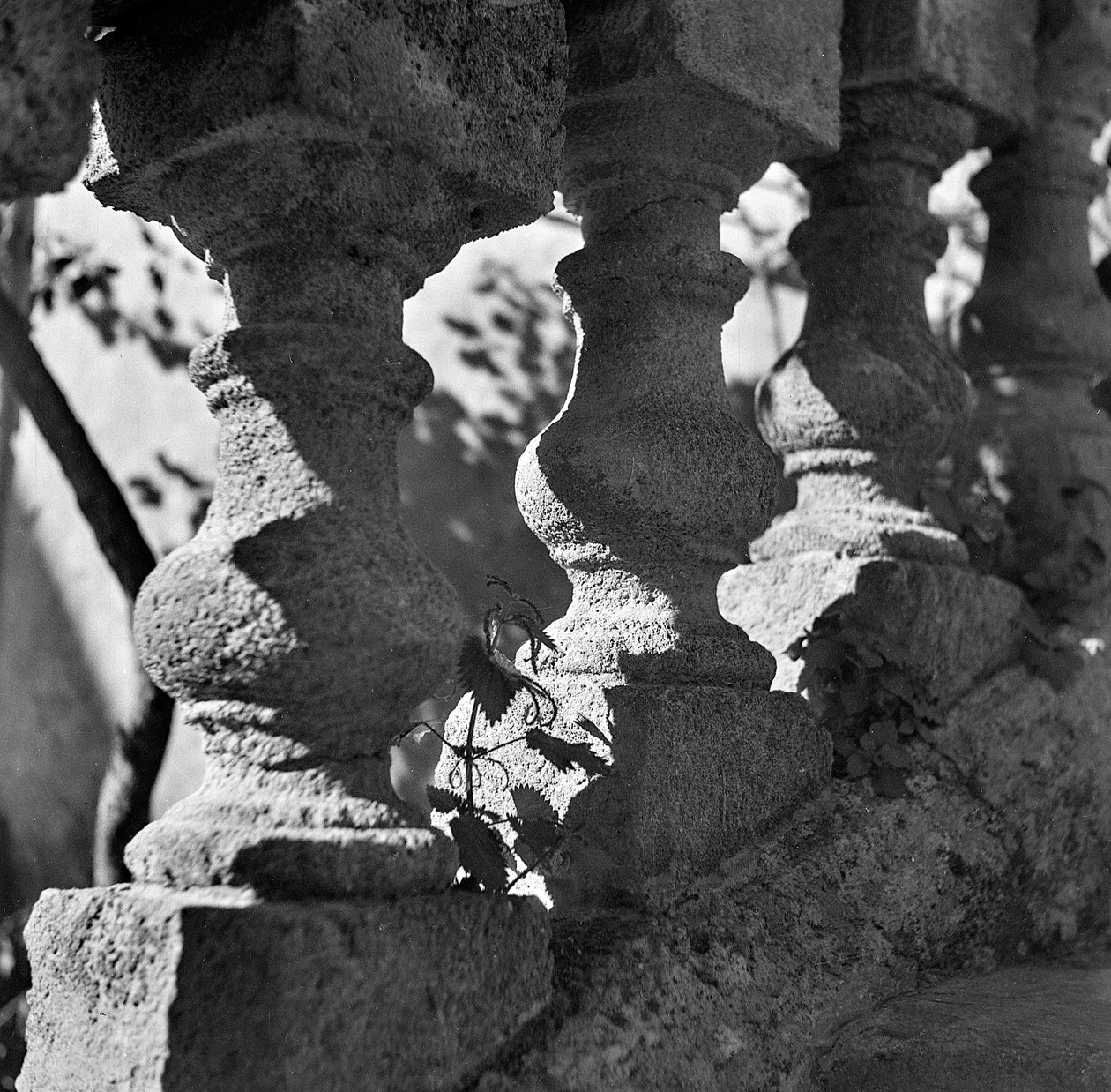 Detail van een balustrade in Villa Bonocore Maletto Palermo door Fosco Maraini