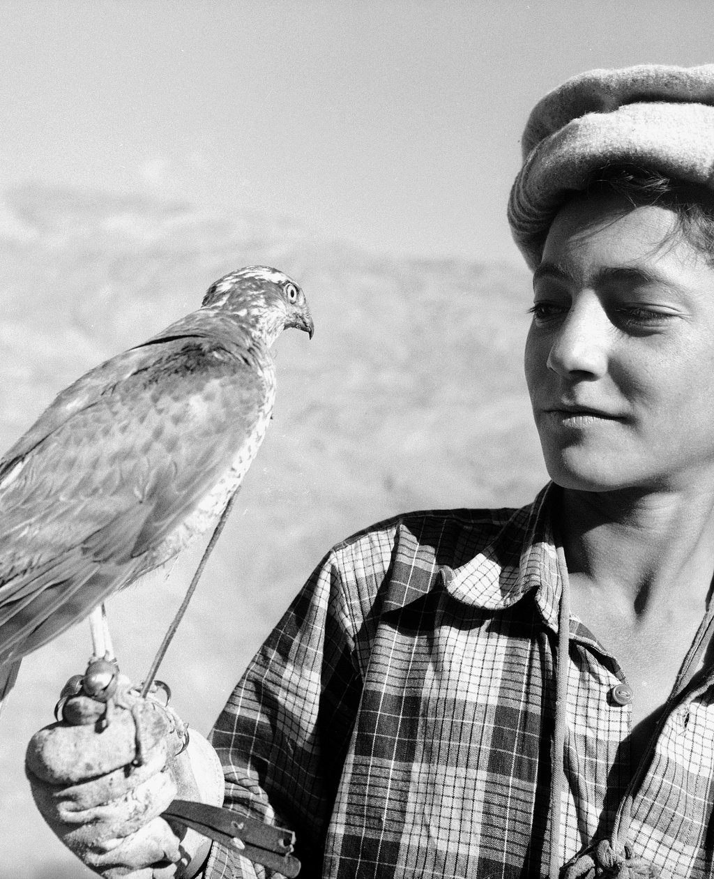 Jonge valkenier van Chitral op de Hindu-Kush, een berg in Centraal-Azië door Fosco Maraini
