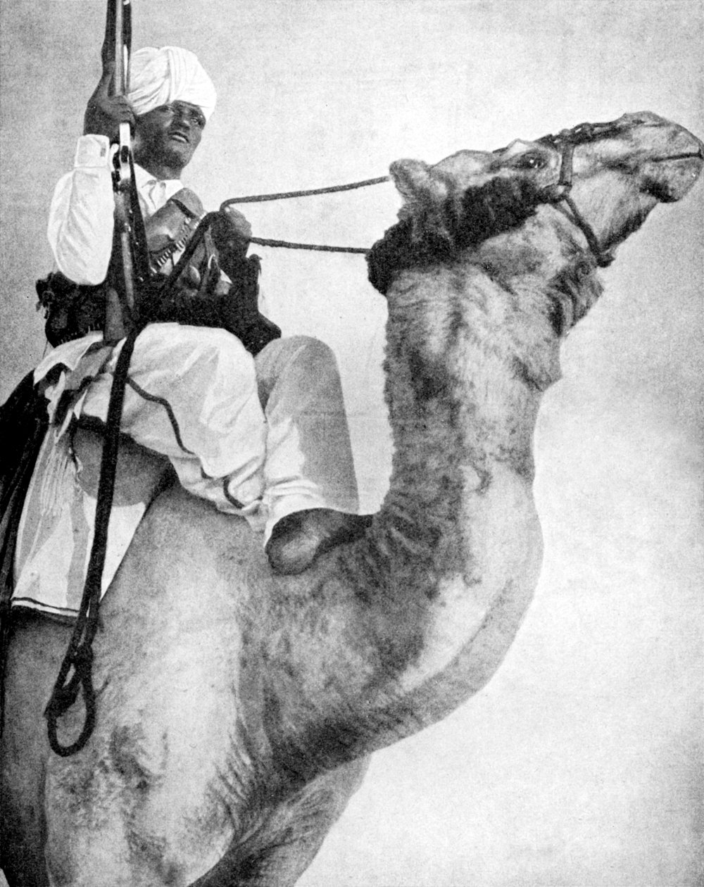 Woestijnstrijder van Afrika door Fox Photos