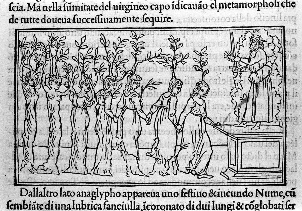 Gravure in “Hypnerotomachia Polyphili” (de droom van Poliphila) door Dominicaanse monnik Francesco Colonna, Venetië door Francesco Colonna