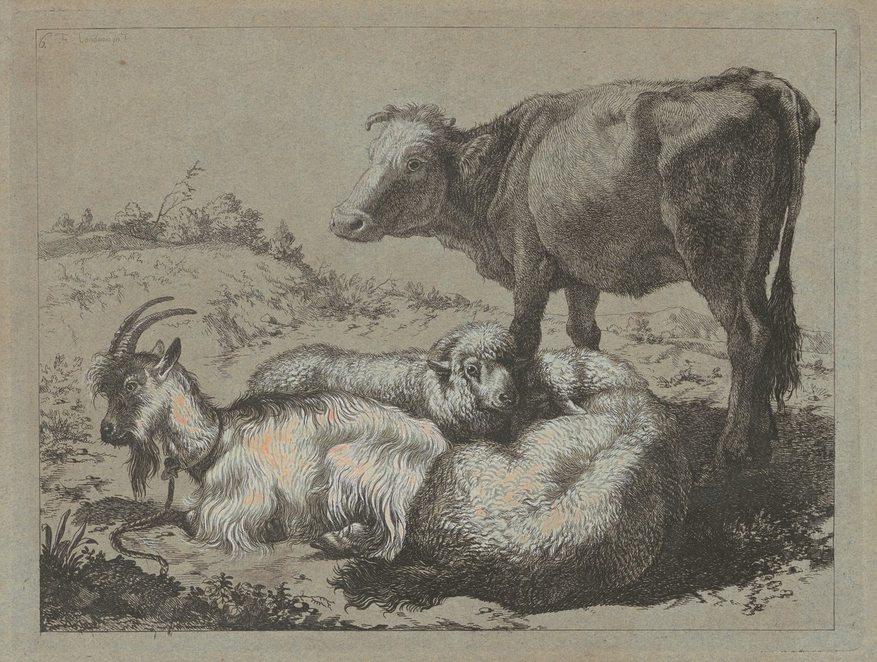 Staande os, twee schapen en een geit door Francesco Londonio