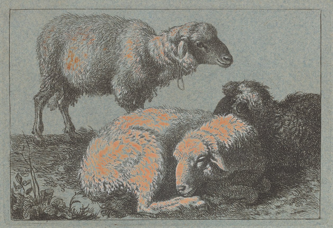 Twee liggende schapen en één staand schaap, 1757-1758 door Francesco Londonio
