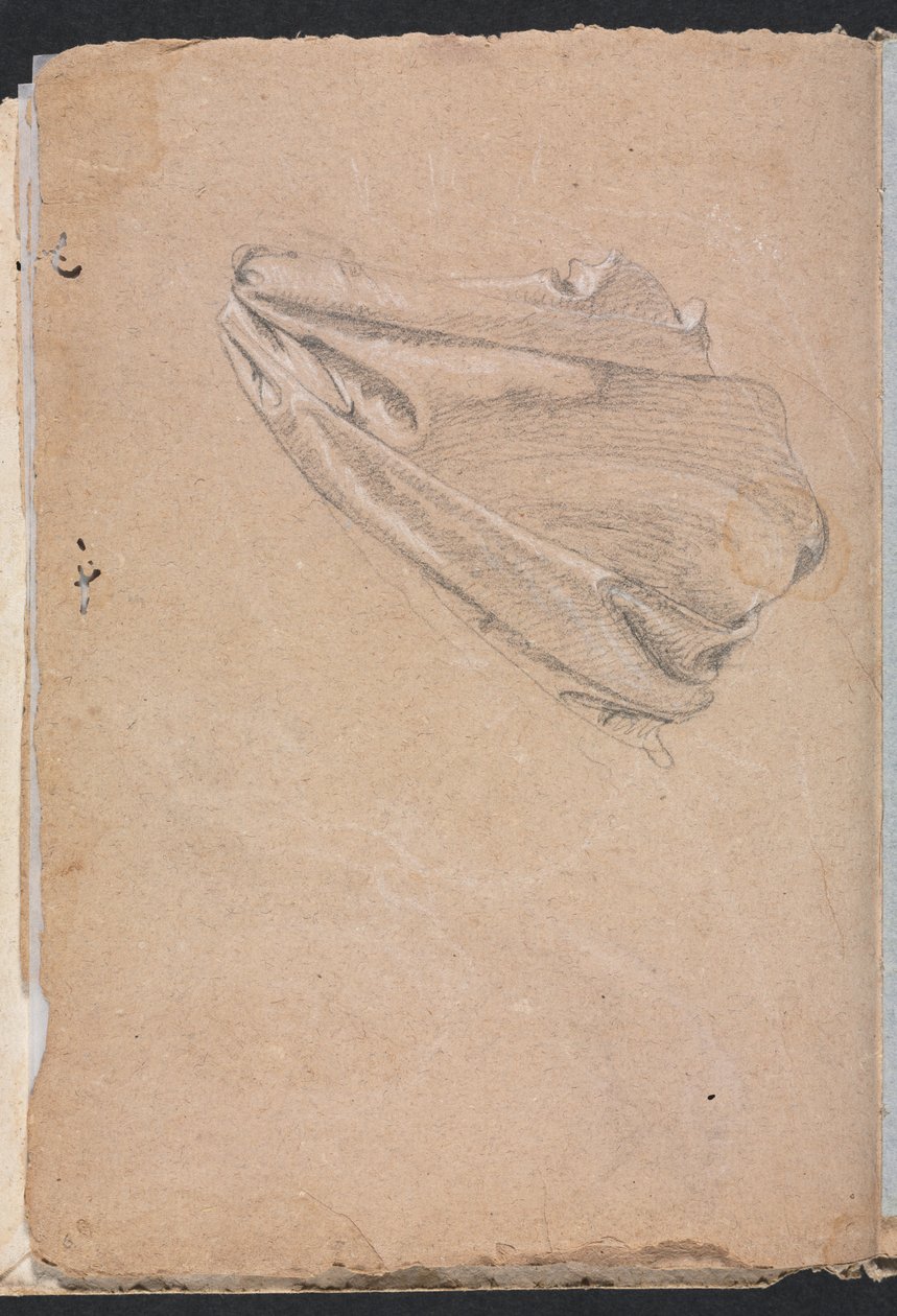 Verona Schetsboek: Draperiestudie pagina 6, 1760 door Francesco Lorenzi
