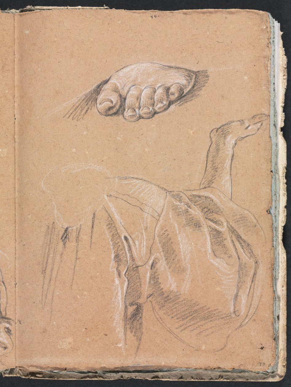 Verona schetsboek: Studie van een linkervoet en draperiestudie met rechterarm pagina 79, 1760 door Francesco Lorenzi