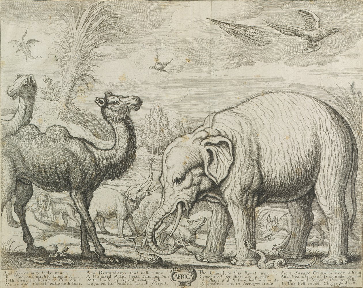 Afrika door Francis Barlow