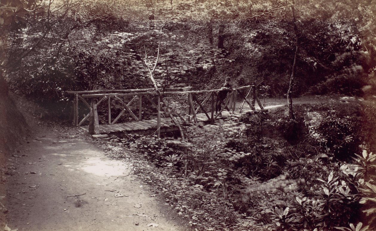 Colwyn Bay. Rustieke Brug in het Bos door Francis Bedford