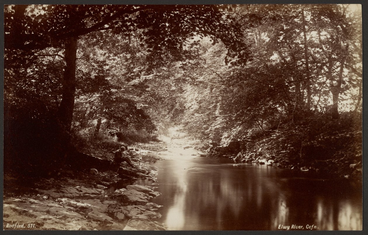 Rivier de Elwy, Cefn door Francis Bedford