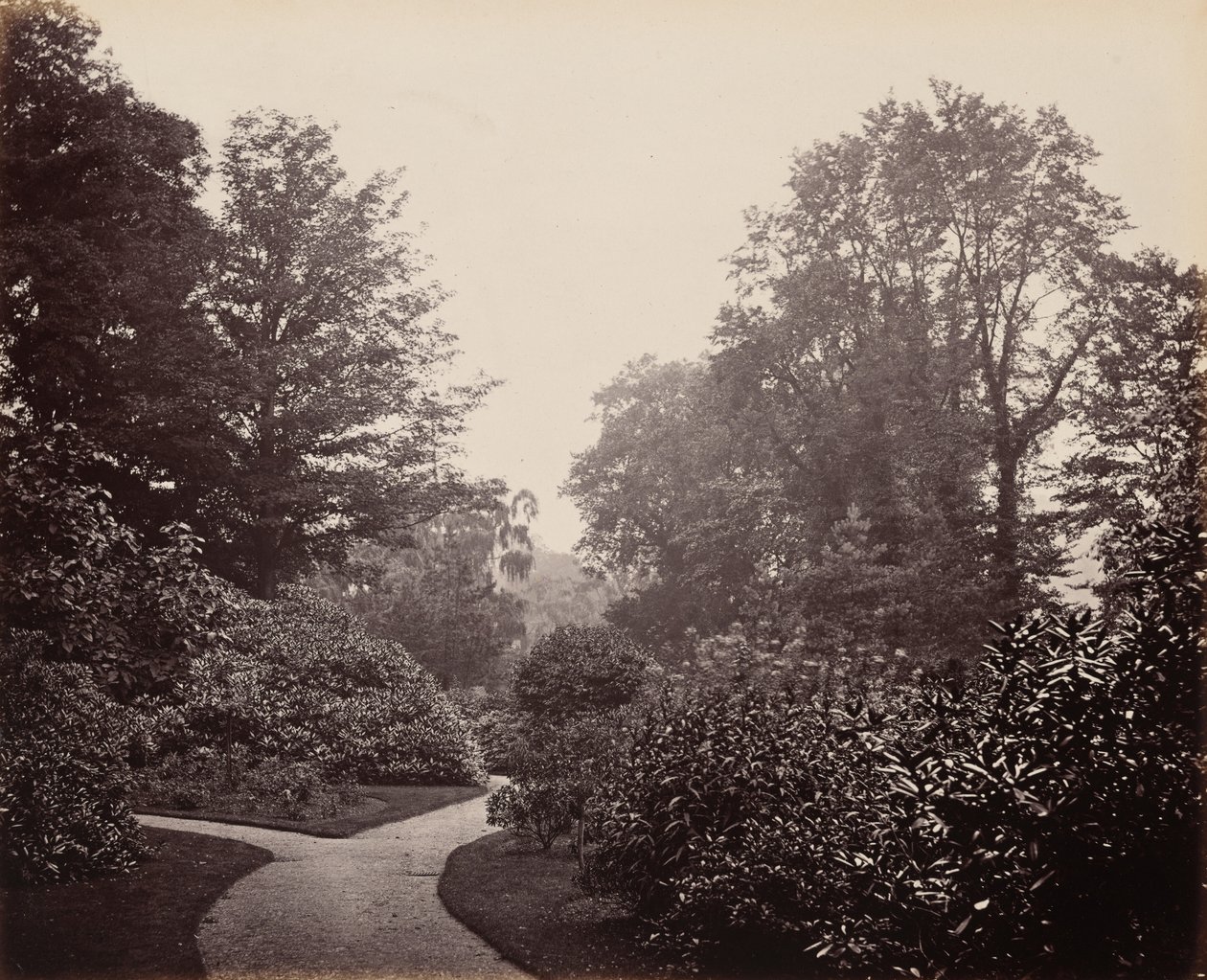 Pad in Alexandra Park, ca. 1863 (foto) door Francis Bedford