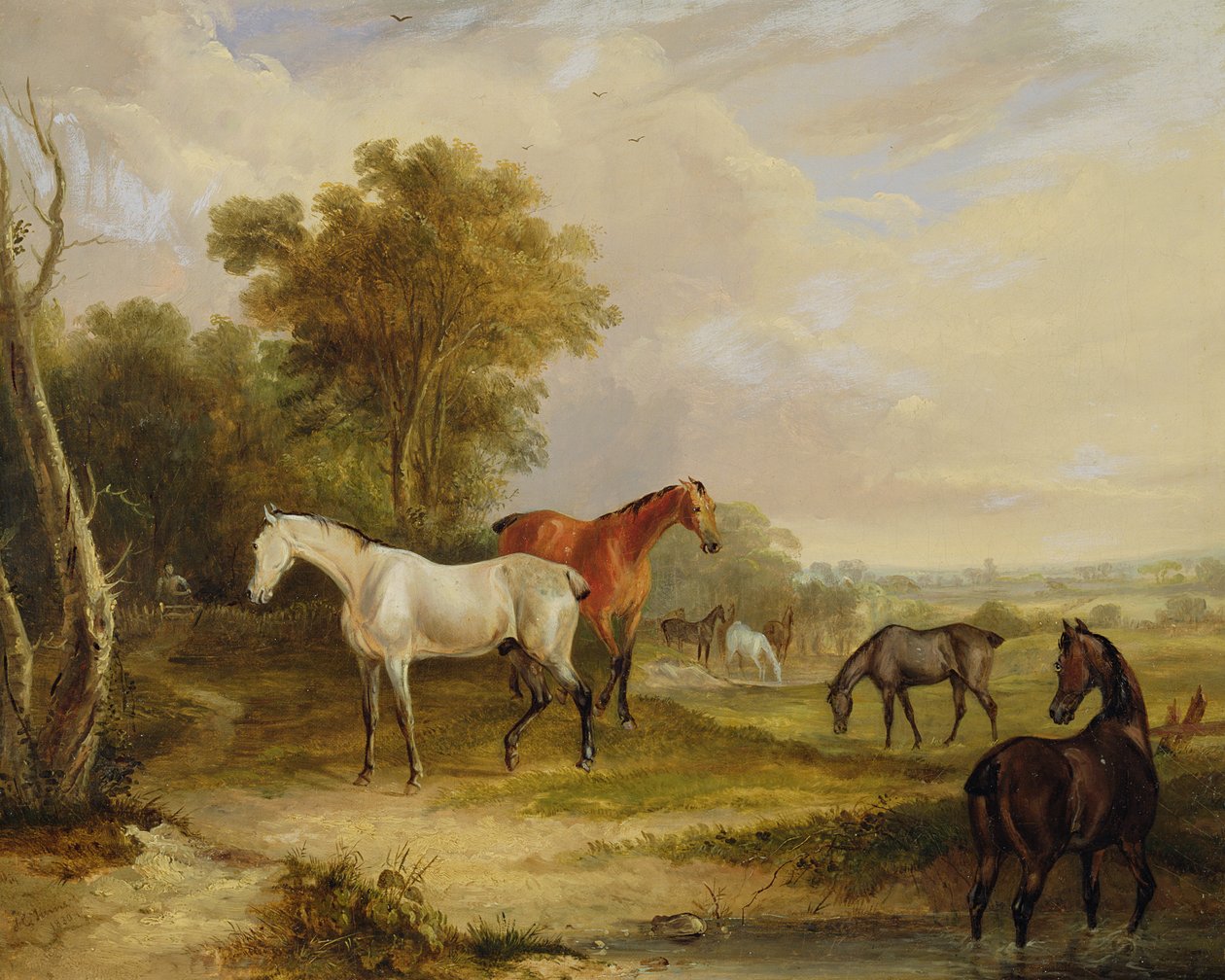 Paarden Grazend: Een Grijze Hengst Grazend met Merries in een Weide door Francis Calcraft Turner