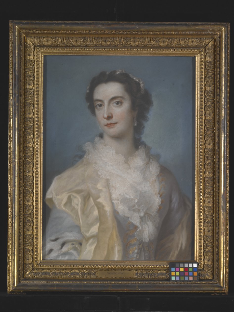 Portret van een Dame door Francis Cotes