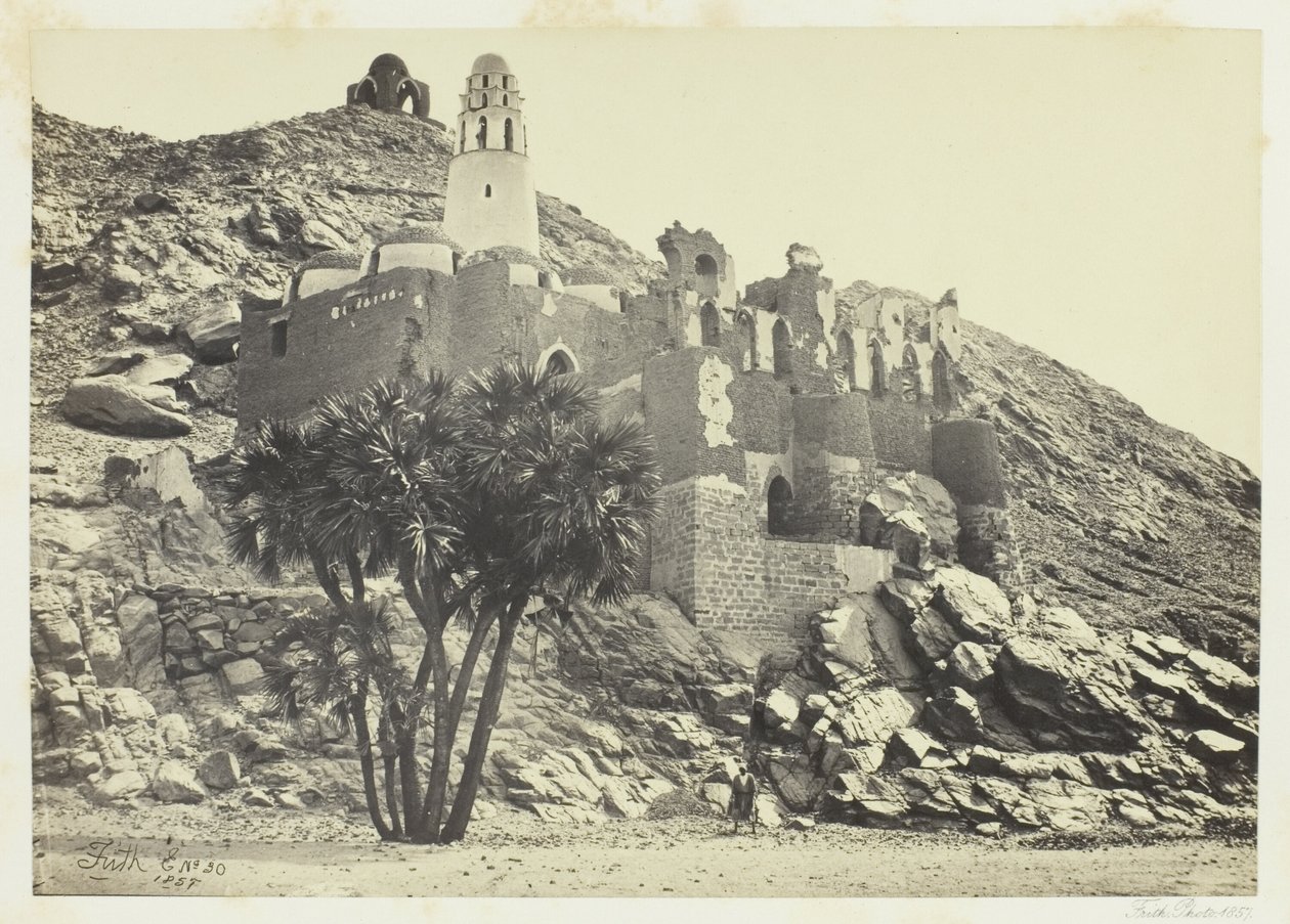Doumpalm en verwoeste moskee, Philæ door Francis Frith